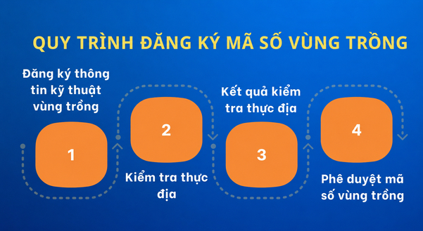 Các bước tra cứu trực tuyến giúp người dân chủ động kiểm soát mã số vùng trồng