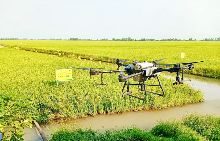 Cảm biến quan trắc môi trường lắp đặt trực tiếp tại ruộng lúa