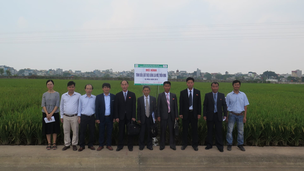 Cán bộ nông nghiệp Triều Tiên tham quan mô hình lúa tại Việt Nam