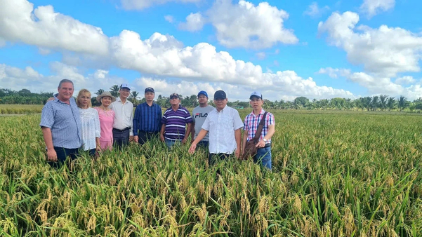 Chuyên gia Việt Nam hướng dẫn nông dân Cuba cách kiểm tra sâu bệnh