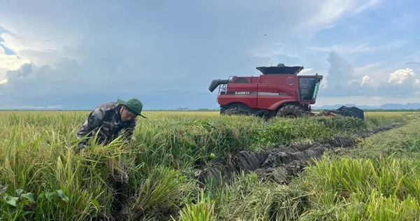 Doanh nghiệp Việt Nam áp dụng máy móc hiện đại trên đồng ruộng Cuba