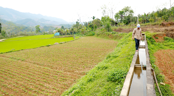 Hệ thống kênh mương dẫn nước chủ động giúp quản lý nước tốt hơn
