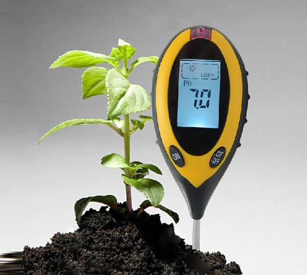 Thực hiện đo pH ở nhiều điểm trong tán cây để có kết quả chính xác