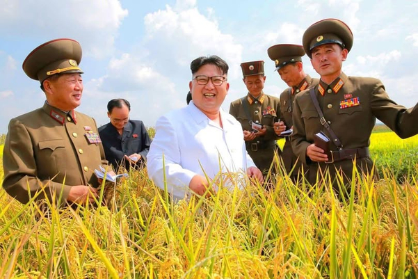 Tình hữu nghị Việt - Triều thêm bền chặt qua những vụ mùa lúa gạo