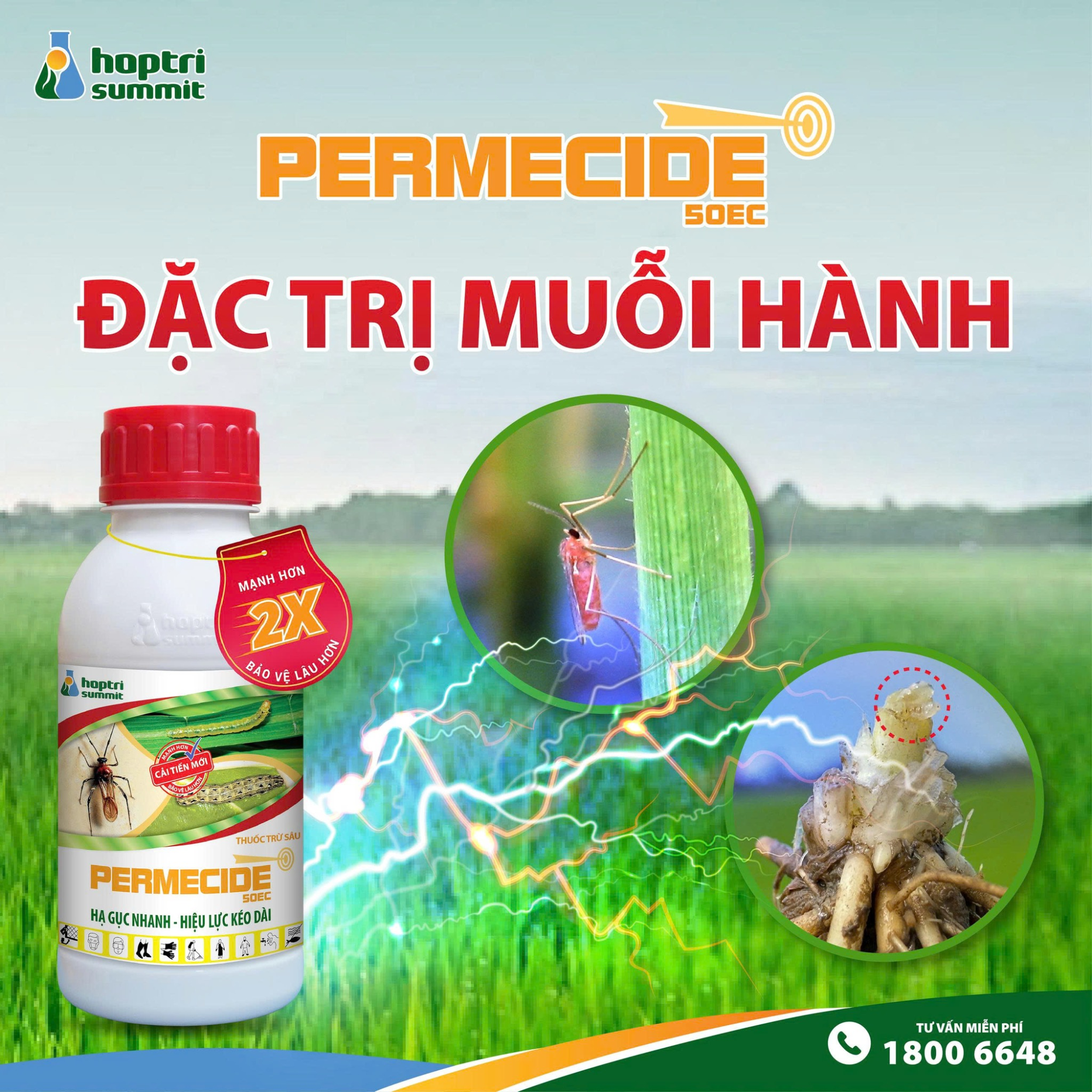 Permecide 50EC chứa hoạt chất Permethrin 500g/ lít và được tăng cường chất trợ lực PBO (Pyperonyl Butoxide) lên 20% nên hiệu lực diệt côn trùng nhanh, mạnh so với sản phẩm cùng loại